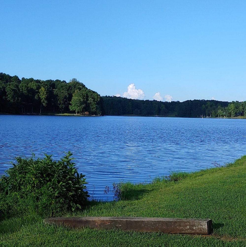 Meet your Posher, R.D.